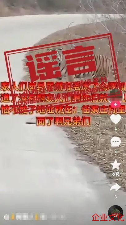 国产成人精品一区二三区熟女在线 山西省吕梁市岚县出现老虎？
